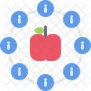 사과 정보  아이콘