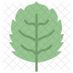 Apple leaf  Icon