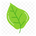 Leaf Ash Leaf Beech Leaf Icon