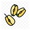 Apple Slice  Icon
