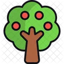 Apple tree  Icon