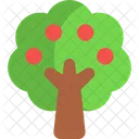 Apple tree  Icon