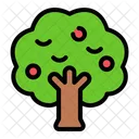 Apple Tree  Icon