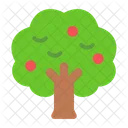 Apple Tree Tree Apple Icon