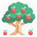 Apple Tree Apple Tree Icon