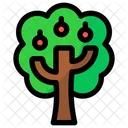 Apple tree  Icon