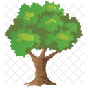 Apple Tree  Icon