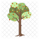 Apple Tree Apples Tree Icon
