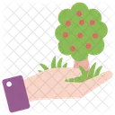Apple Tree  Icon