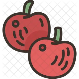 Apples  Icon