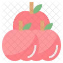 Apples  Icon