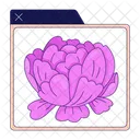 Application Window Peony Flower Image Preview Icon