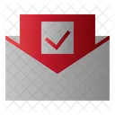 Mail Check Message Icon