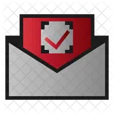 Mail Check Message Icon