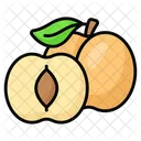 Apricot Plums Food Icon