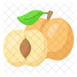 Apricot  Icon