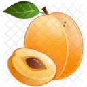 Apricot Fruit Food Icon