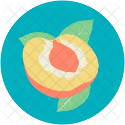 Apricot  Icon