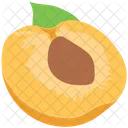 Apricot Peach Fruit Icon