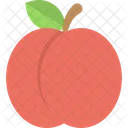 Apricot Healthy Food Icon
