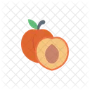 Apricot Peach Fruit Icon