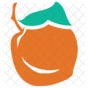 Apricot Food Fresh Icon