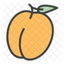 Apricot Fresh Organic Icon