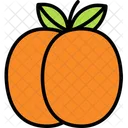 Apricot Fruit Healthy Icon
