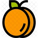 Apricot  Icon