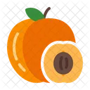 Apricot  Icon
