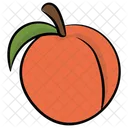 Apricot  Icon