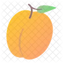 Apricot  Icon