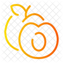 Apricot  Icon