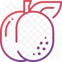 Apricot  Icon