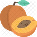 Apricots  Icon