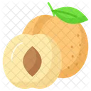 Apricots  Icon