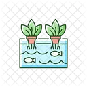 Aquaponics  Icon
