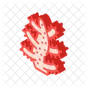 Aquarium Koralle Isometrisch Icon