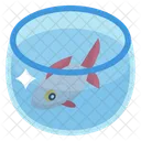 수족관 물고기항아리 물고기유리 아이콘