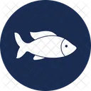 Aquarium Fishes Fishes Freshwater Fishes Icon