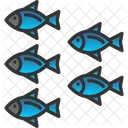 Aquatic Animal Fish Icon