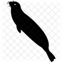 Aquatic Animal Sea Creature Manatee Icon
