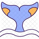 Aquatic Animal Cetacea Whale Icon