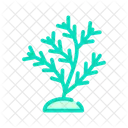 Aquatic Coral Color Icon