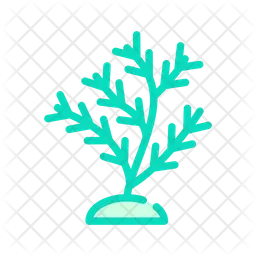 Aquatic Coral  Icon