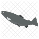 Aquatic Fish Fish Tropical Fish Icon