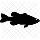 Aquatic Fish Icon