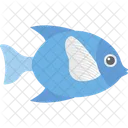 Aquatic Fish  Icon