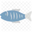 Aquatic Fish  Icon