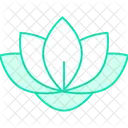 Aquatic Flower Flower Lotus Symbol